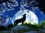 5D Diamond Painting Blue Howl at the Moon Wolf Kit