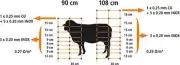 50mX108cm SHEEP NETTING Electric Fencing SHEEP GOAT Calf farm RGNL