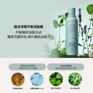 【AVEDA】深層護髮組(蘊活菁華/蘊活淨瑕/花植結構_洗髮精3款任選+重鍵護髮膜200ml)