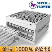 在飛比找PChome24h購物優惠-振華 Leadex VII 1000W ATX3.0金牌 電