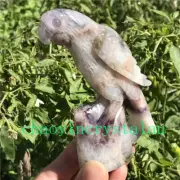 0.5LB Natural Dreamy Amethyst parrot Skull Quartz Crystal Carved Reiki XK1435
