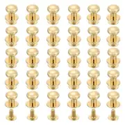30Pcs 8mm Chicago Screws Round Head Button Leathercraft Rivets, Light Gold