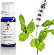 Gumleaf Essentials Peppermint Australian Essential Oil - 10ml, Cruelty Free & Vegan, 100% Pure & Natural