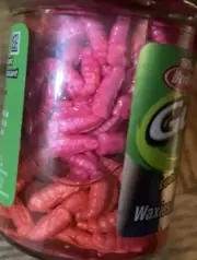 Berkley Gulp Alive Waxies Pink GAJWX-PK 2.0 oz USA Made