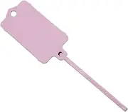 EUIOOVM 100pcs/set Large Label Tie Mark Flexible and Reliable Tagging Solution Easy to Plastic Reusable Blank Plastic Tags, Pink