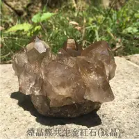 在飛比找蝦皮商城精選優惠-💎精品級💎煙晶簇共生金紅石(鈦晶)2號--窗子/幻影/彩虹