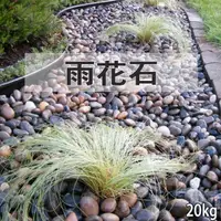 在飛比找momo購物網優惠-【園藝世界】中型雨花石20kg(雨花石/生態底材/園藝造景)