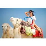 Save 4.99%! Camel Ride For One Hour Adventure with Transfer - Sharm El Sheikh