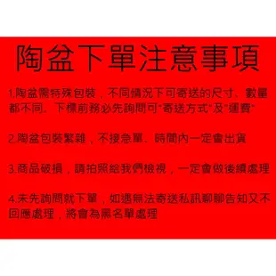 【滿699起免運】透氣素燒盆(國際盆) 排水佳高質感/ 2吋陶盆 【園丁花圃】