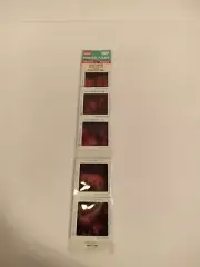Pana-Vue Travel Slides -- Bryce Canyon -- New In Package