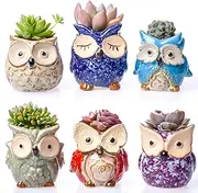 Claywa Ceramic Owl Succulent Pots Cute Animal Plant Planters 2.75" to 3.35" with Drainage Pack of 6 Plants Not Included
