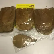 INDIAN ALMOND TERMINALIA CATAPPA LEAVES 100 top pieces (~7") KETAPANG ShipFree