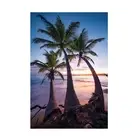 Canvas Wall Art - Stefan Hefele 'Palmy Twilight' Wall Art for Living Room, Be...