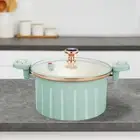 Micro Pressure Cooker 10L Heat Resistant Soup Pot for Rice Noodles Chicken