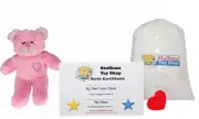 Make Your Own Stuffed Animal Mini 8 Inch Pink Heart Patch Bear Kit - No Sewing R