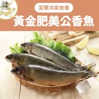 在飛比找momo購物網優惠-宜蘭冷泉放養黃金肥美公香魚