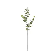 [James Lane] Eucalyptus Dollar Spray Grey Green - 94cm