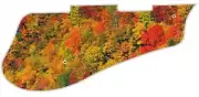 Pickguard Pick Guard 5120 Graphical Graphic Guitar Fall Colours