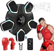 TTFP Music Boxing Machine Wall Mounted, Smart Bluetooth Home Gym Boxing Equipment