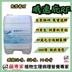 【菌專家】威速庇RF_10L／大規格／假蕈狀芽孢桿菌發酵而成／微生物／具快速成長的效果