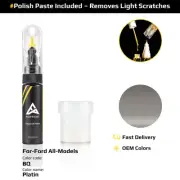 Touch Up Paint For Ford All Models BQ Platin With Polish Paste
