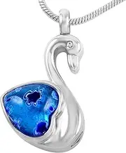 DOTUIARG Heart Crystal Stainless Steel Cremation Urn Necklace with Memorial Ashes for Pet Keepsake Jewelry