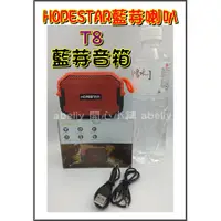 在飛比找蝦皮購物優惠-HOPESTAR藍芽喇叭 T8 藍芽音箱 IPX6防水 可吊