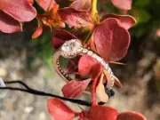 NWT PANDORA ROSE™ CLASSIC ELEGANCE RING 180946cz *CHOOSE SIZE Free shipping