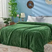 Inhand Fleece Throw Blankets, Super Soft Flannel Cozy Blankets for Adults, Washable Lightweight Fuzzy Blanket for Couch Sofa Bed Office, Queen Size Warm Plush Blankets for All Season (90"×90", Green)