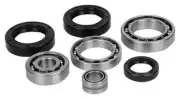 All Balls Differential Bearing & Seal Kit for 2016 Arctic Cat Alterra 550 ATV