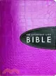 The Everyday Life Bible ─ Pink With Espresso Inset, Ampilified Version, Fashion Edition, The Power of God's Word for Everyday Living