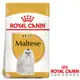 Royal Canin法國皇家 MTA瑪爾濟斯成犬飼料 1.5kg 2包組