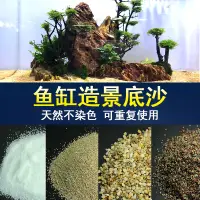 在飛比找淘寶網優惠-雨淋沙白細沙小河沙菲律賓沙珊瑚砂化妝沙魚缸水族箱底砂造景底沙