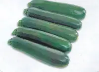 在飛比找Yahoo!奇摩拍賣優惠-【蔬菜種子S390】墨綠夏南瓜~~矮性，果皮墨綠色，短棍狀，