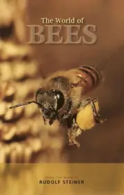 The World of Bees by Rudolf Steiner (English) Paperback Book