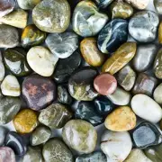 River Rocks Stones for Plants Pebbles for Indoor Plants | Aquarium Fish Tank