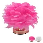 AU Plume Bedside Table Lamp E27 Decorative Modern Plume Night Light Nightstand