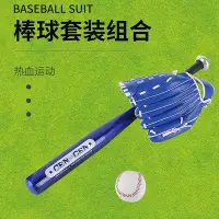 在飛比找Yahoo!奇摩拍賣優惠-兒童成人棒球棒套裝 鋁合金棒球棒+手套+棒球