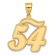 14k Yellow Gold Brushed Border Script Number 54 Pendant