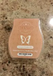 NEW SCENTSY COCONUT PUMPKIN PIE Wax Bar Melt For Warmer 3.2 Fl Oz New Package