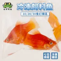 在飛比找蝦皮購物優惠-🐸彼得角蛙🐸 活凍魚 冷凍魚 飼料魚 朱文錦 紅球魚 孔雀魚