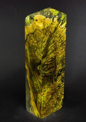 MAPLE ROOT BURL IN YELLOW TONES & ALBINO STABILIZATION 159*47*34 mm