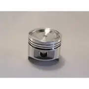 Austral Piston Set - PO1083 040
