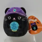 Halloween Squishmallows Bly Fortune Teller Cat Psychic 4.5”