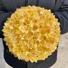 10.7LB New Find yellow PhantomQuartz Crystal Cluster MineralSpecimen
