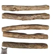 10 Pack Natural Silvervine Cat Chew Stick Toy