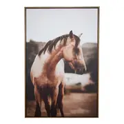 Framed Canvas/Pine 80x120cm Brumby Wall Hanging Art Decorative Home Display