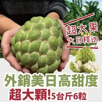 在飛比找PChome24h購物優惠-【十翼饌選果】台東大目釋迦輸日(6顆/5斤/箱)