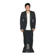 Josh Hutcherson Lifesize Cardboard Cutout with Free Mini Standee / Standup