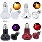 25-100W UVA Lamp Amphibian Bird Light Heat Reptile Bulb Snake Day/Night♡